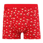 Boxershorts MBX600 Mix