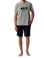 Herren-Pyjama nmp-396 Grau/Marineblau/Blau