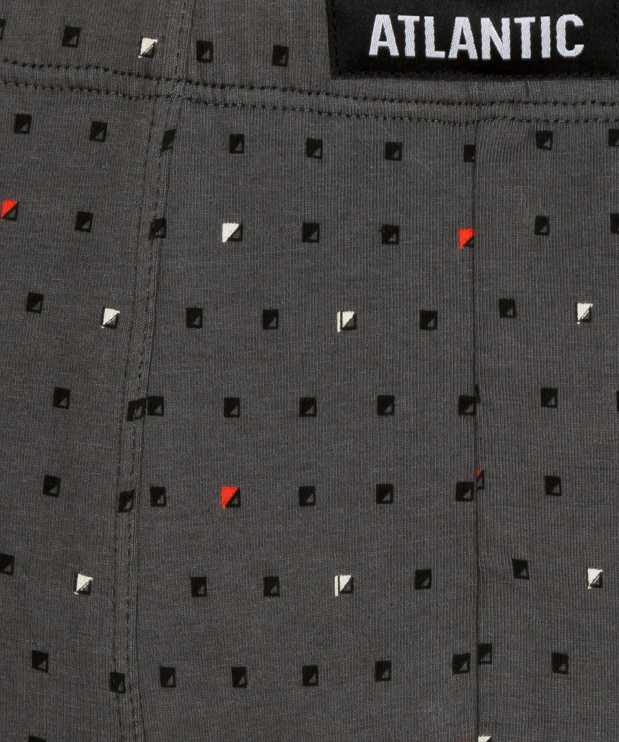 Boxeri Bărbați Panther BM01 Multicolor